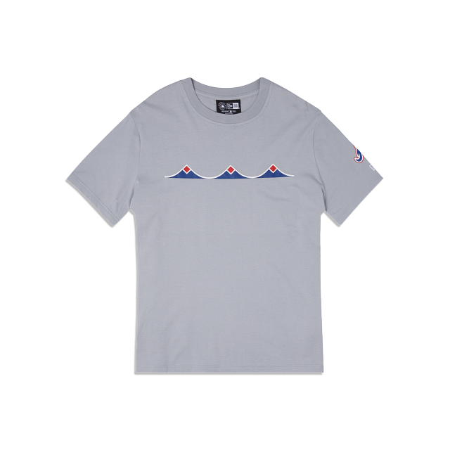 Atlanta Braves City Connect Gray T-Shirt