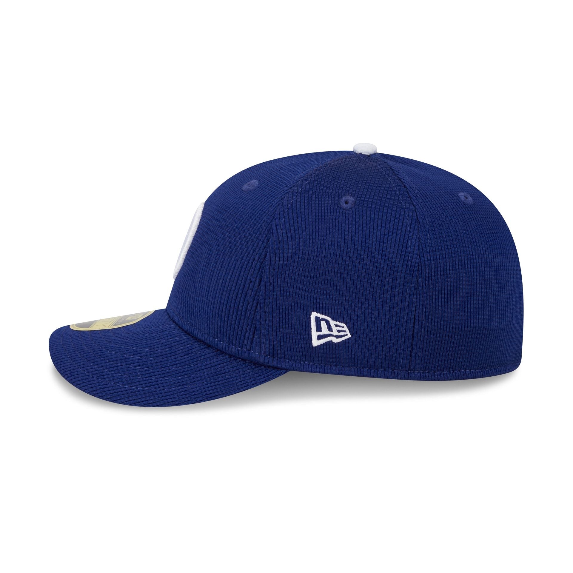 Los Angeles Dodgers 2025 Batting Practice Low Profile 59FIFTY Fitted